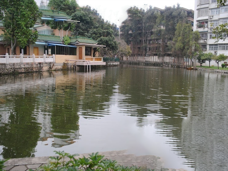 池塘清淤前
