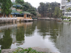 池塘清淤前